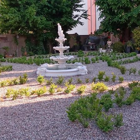 Apartament Willa Anta Debno  Dış mekan fotoğraf